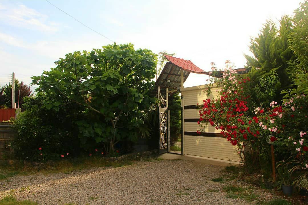 ویلای استخردار به همراه استخر و جکوزی