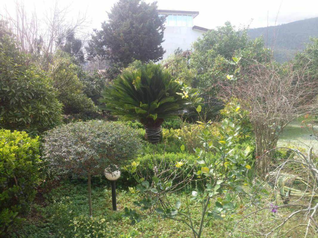 ویلای دو خوابه در چالوس