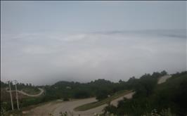 سوئیت در فیلبند