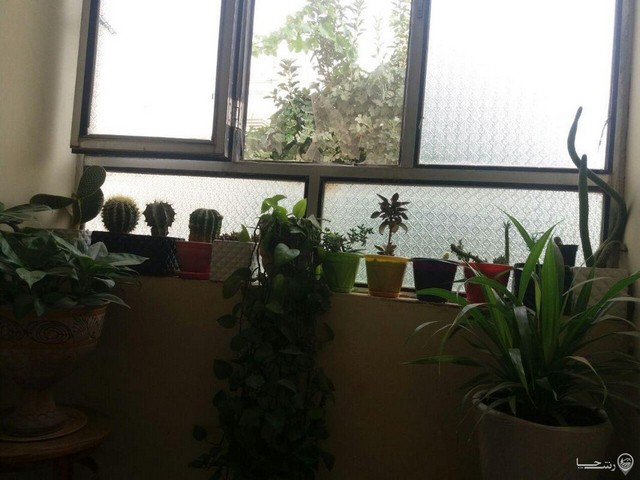 اجاره واحد در کرمانشاه