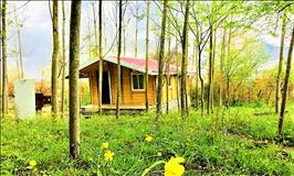 اجاره کلبه چوبی در شاندرمن