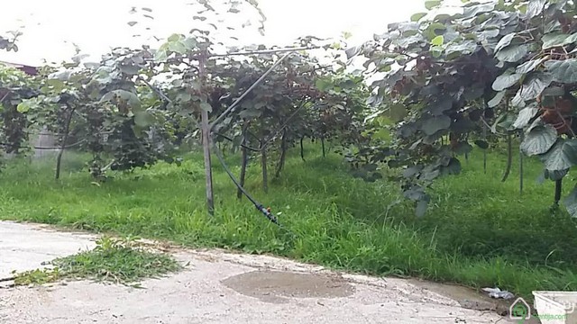 ویلای نقلی در قروق