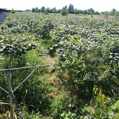 ویلای نقلی در قروق