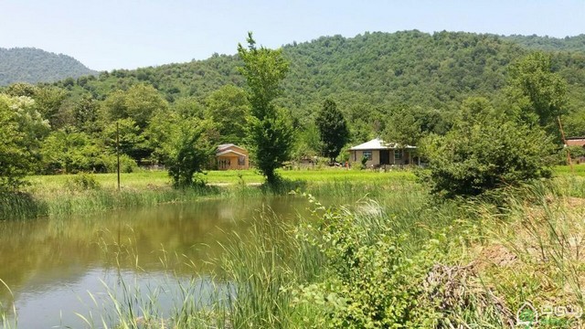 اجاره کلبه جنگلی  در ماسال