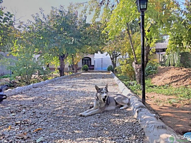 رزرو ویلای ارزان و تک خواب