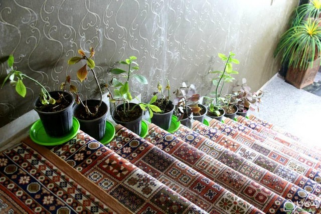 اجاره روزانه آپارتمان دو خواب