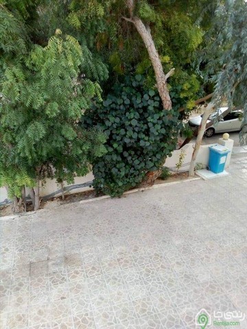 اجاره واحد تک خوابه در کیش