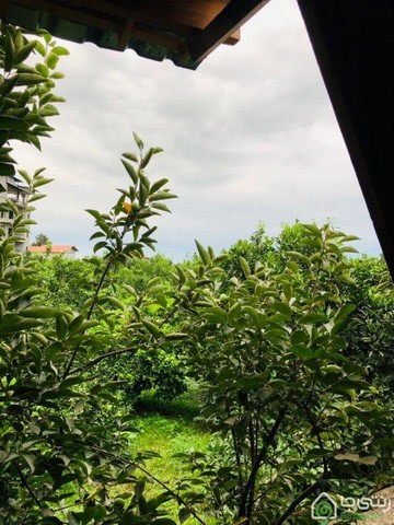  کلبه چوبی شیک در رامسر