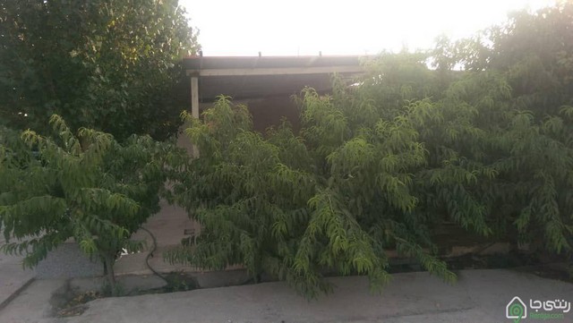 اجاره ویلا به همراه استخر آبسرد