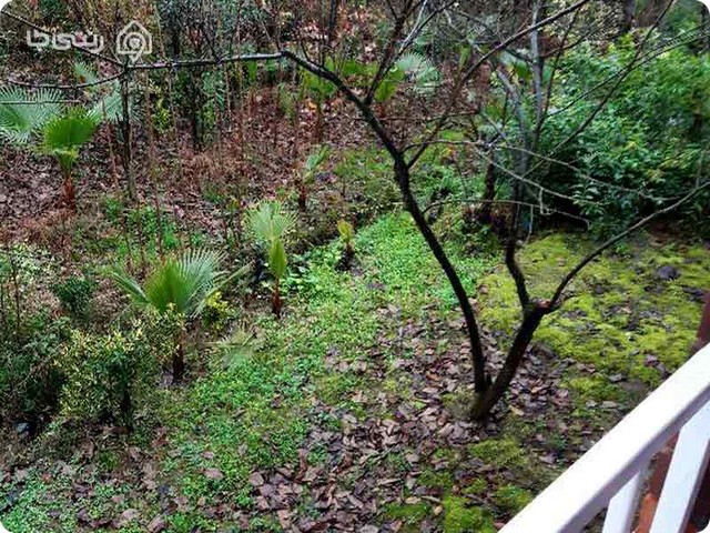 اجاره ویلا در تنکابن