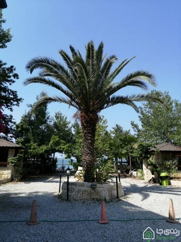 اجاره ویلای شهرکی در ساحل نوشهر 