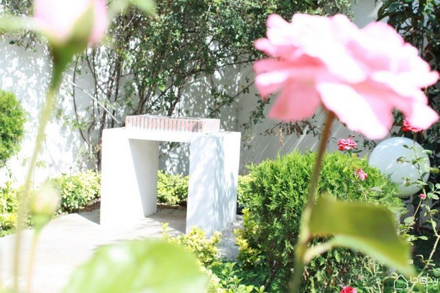 اجاره ویلای ساحلی در فریدون کنار 