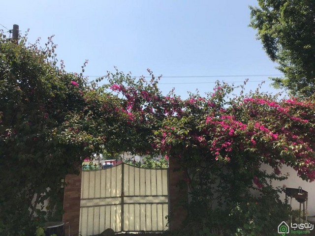 اجاره ویلا تک خواب ساحلی فریدونکنار