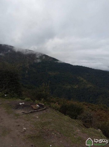 اجاره آپارتمان روزانه در فیلبند