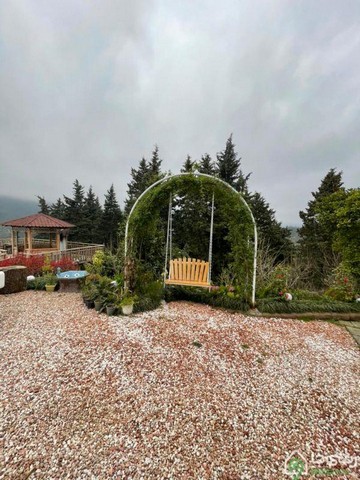 اجاره ویلا جنگلی استخردار