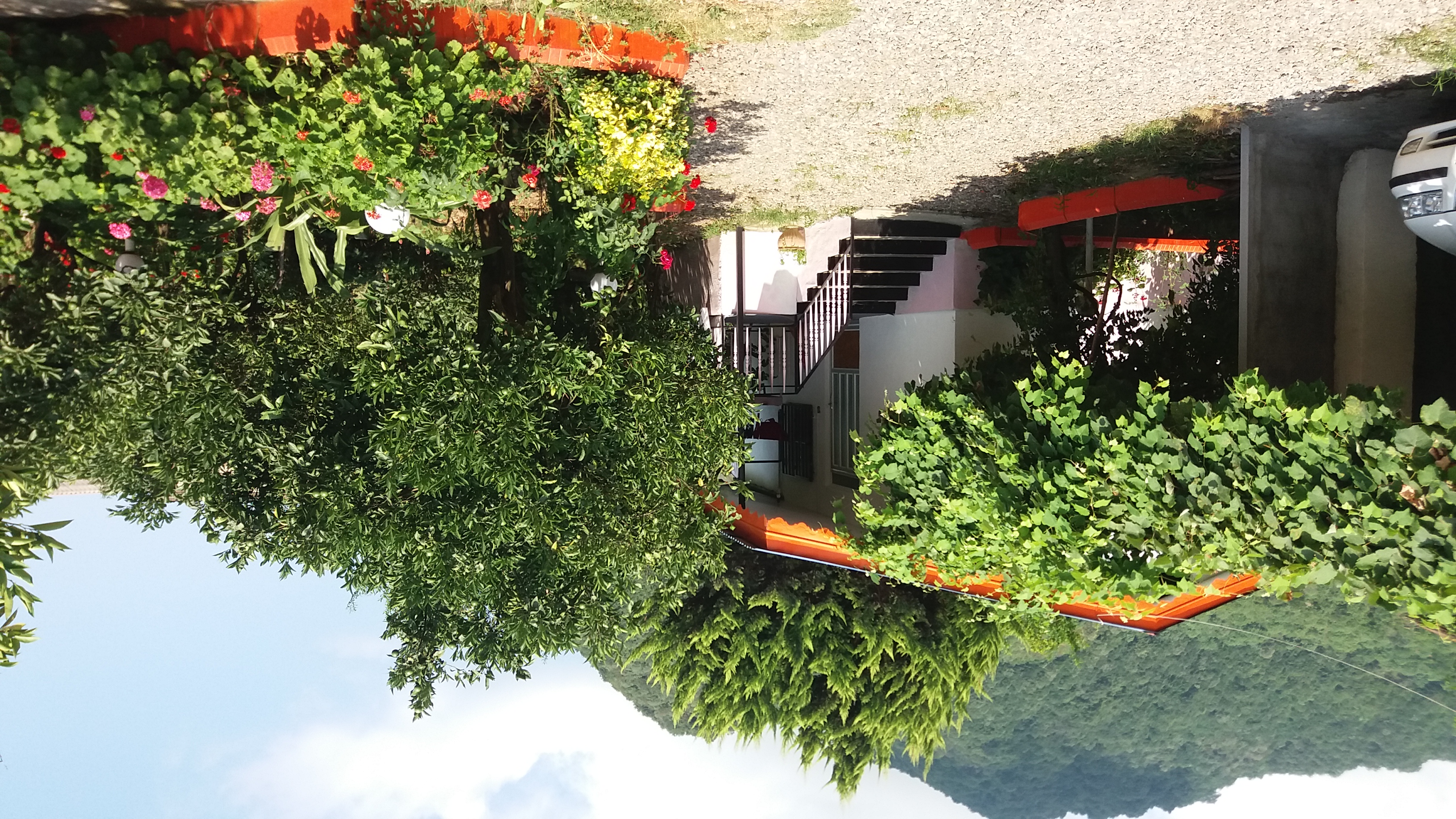 ویلای تک خواب  در رامسر