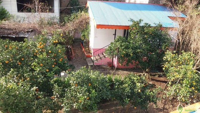 ویلای تک خواب  در رامسر