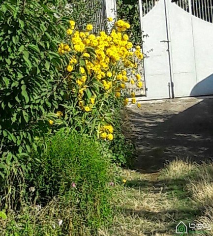 واحد اقامتی در مشکین شهر