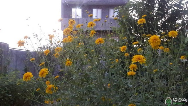 واحد اقامتی در مشکین شهر