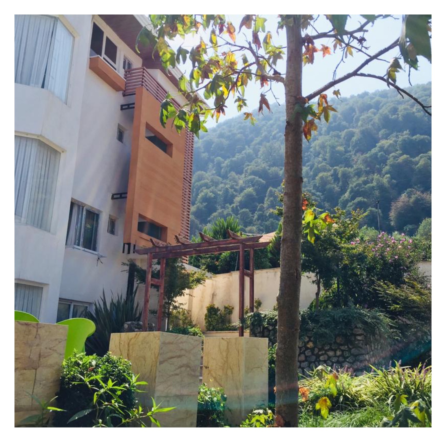 اجاره ویلای تریبلکس جنگلی