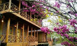 ویلای چوبی در  جاده  ماسوله