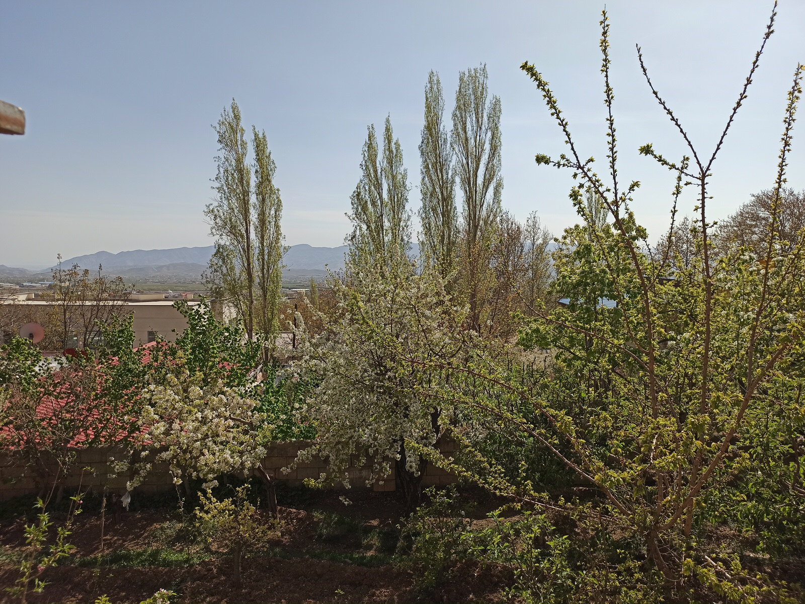 باغ ویلا  در روستای آینه ورزان 
