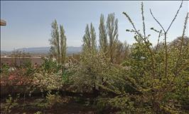 باغ ویلا  در روستای آینه ورزان 