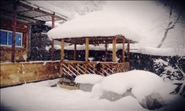 ویلا لب آب جنگلی