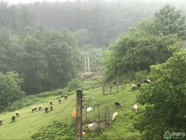 خانه نقی درسریال پایتخت ۳