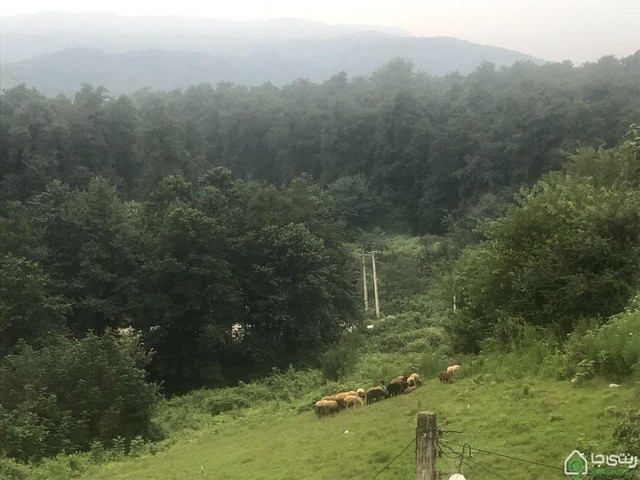 خانه نقی درسریال پایتخت ۳