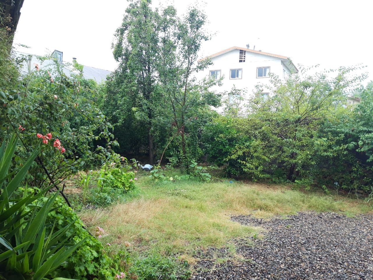 واحد تک خواب حیاط دار در لاهیجان