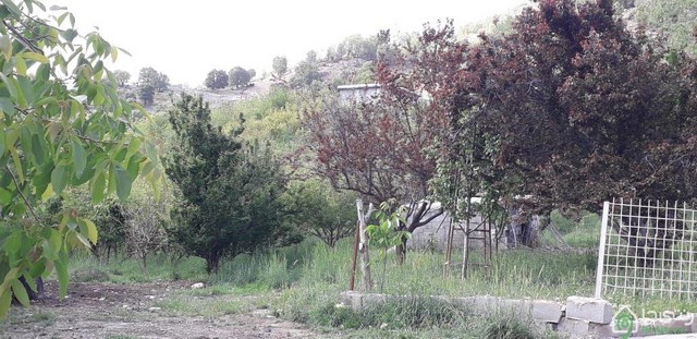 ویلا باغ در یاسوج