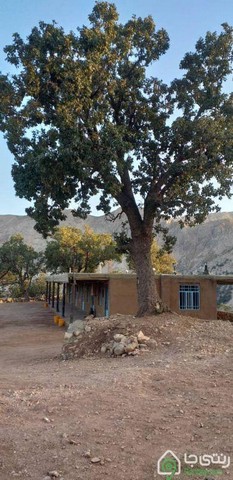 بومگردی داربلوط وارک