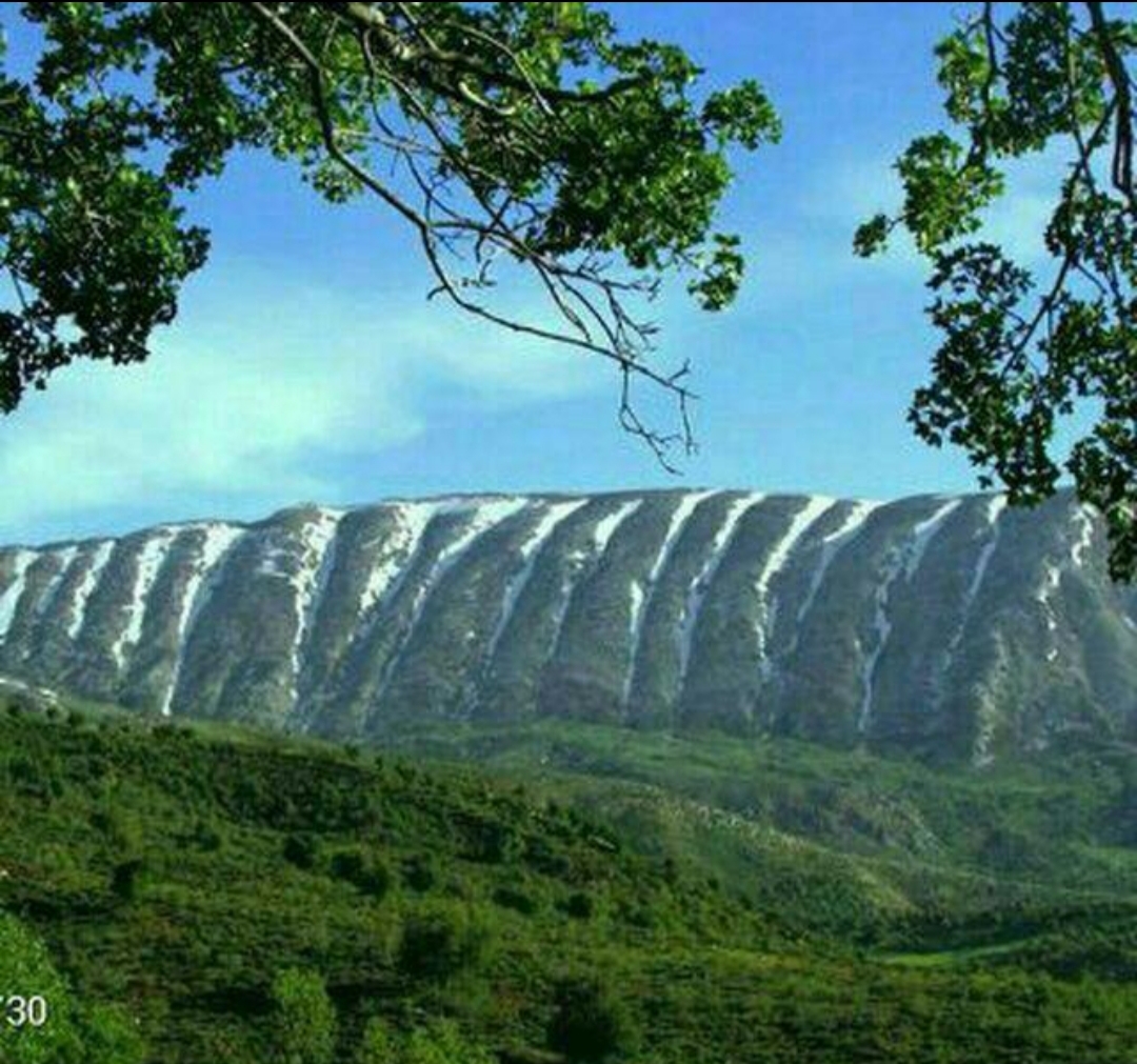 بومگردی داربلوط وارک