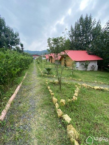 کلبه چوبی در سوادکوه