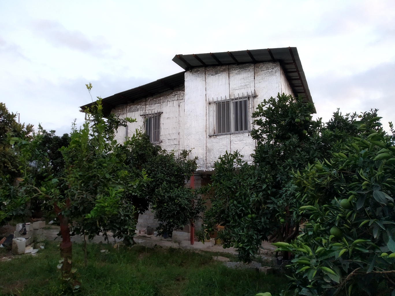 خانه باغ امیری 