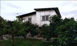 خانه باغ امیری 