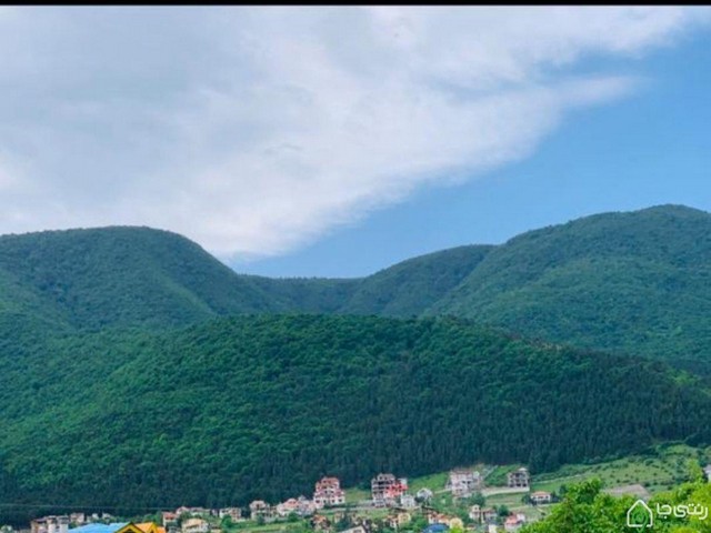 ویلا  جنگلی  ویودار مدرس 1