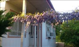 ویلا باغ سرسبز در لنگرود