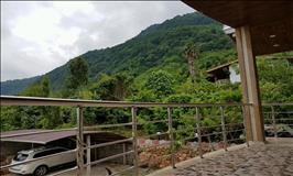 ویلای دو خواب جنگلی تراس دار