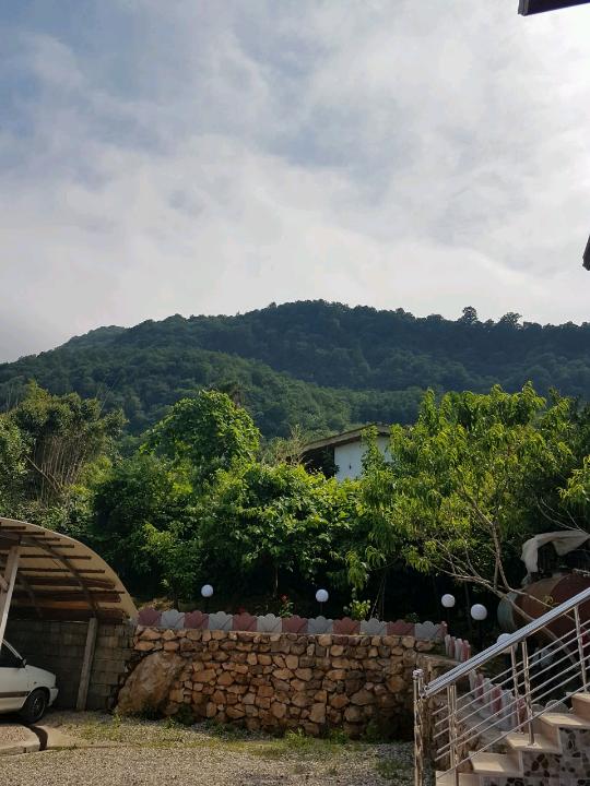 واحد دو خواب  جنگلی در رامسر