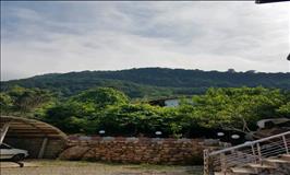 واحد دو خواب  جنگلی در رامسر