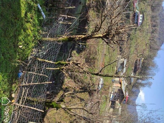 خانه ی امیدمهمان