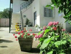 خانه باغ پامچال