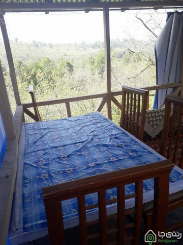 کلبه چوبی در بابل