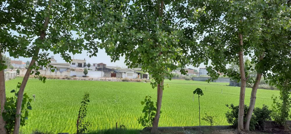 سوئیت ساحلی تک خواب در فریدون کنار