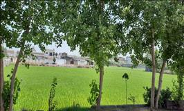 سوئیت ساحلی تک خواب در فریدون کنار