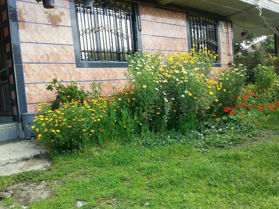  تکخوابه نزدیک ساحل گیسوم و آبشار ویسادار 