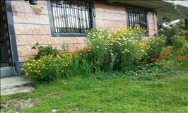  تکخوابه نزدیک ساحل گیسوم و آبشار ویسادار 