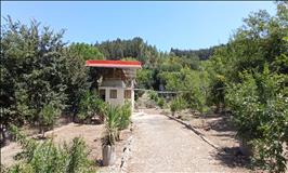 ویلای جنگلی بلوط در بهشهر